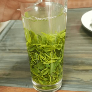 2026新茶信阳毛尖雨前手工春茶绿茶口粮茶大叶茶耐泡一芽多叶