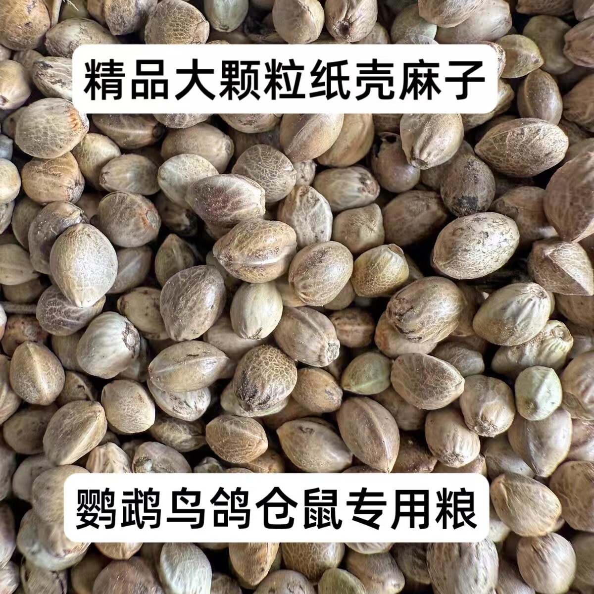 纸壳麻子训练小太阳鹦鹉零食鸟粮鸟食鸽粮仓鼠粮火麻仁麻子鹦鹉粮