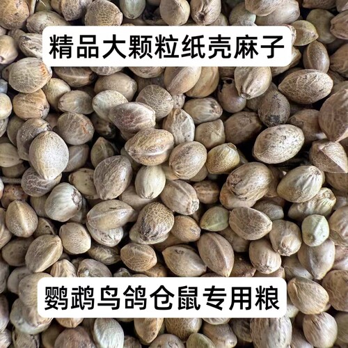 纸壳麻子训练小太阳鹦鹉零食鸟粮鸟食鸽粮仓鼠粮火麻仁麻子鹦鹉粮