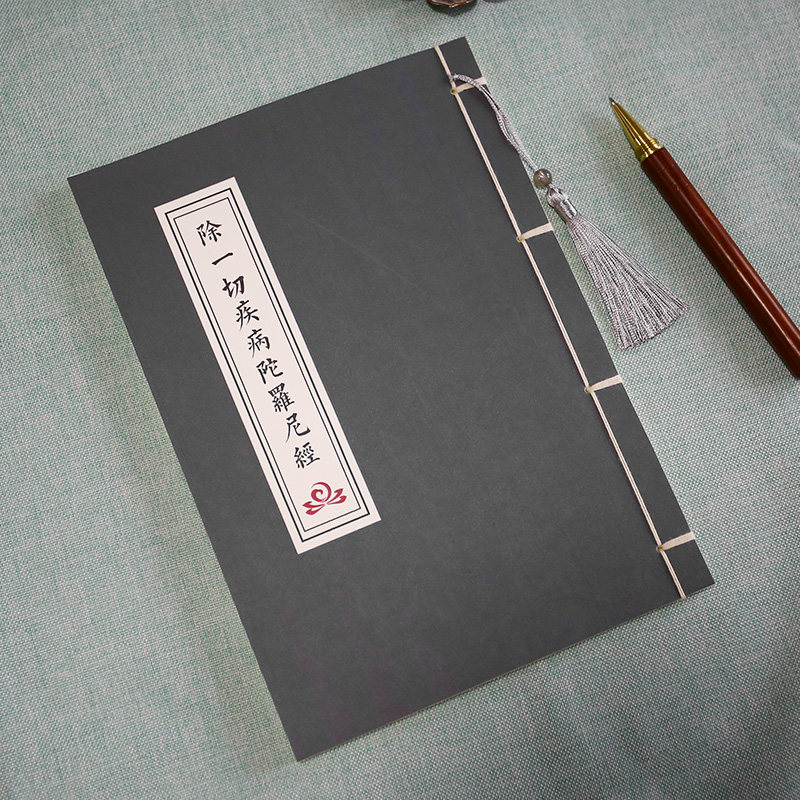 【除一切疾病】手抄写本临摹字帖硬笔描红本成人练字帖楷书注拼音