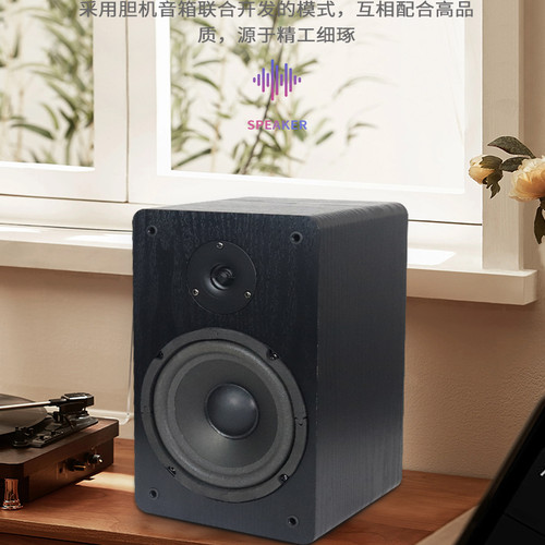 6寸音箱木质中置环绕六寸书架箱无源房间箱2分频高低音家用音响