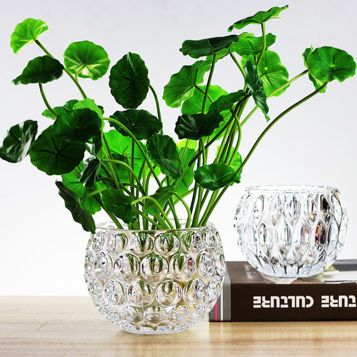 透明玻璃透明绿萝桌面简约现代