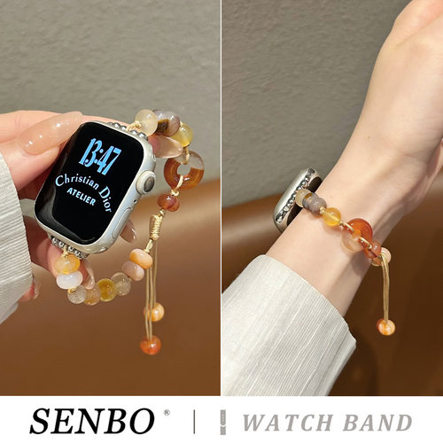 适用苹果iwatch11手表表带新款