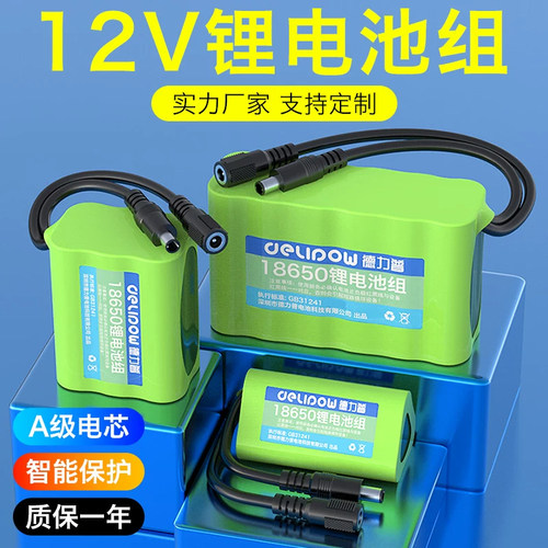 德力普12v大容量电池组