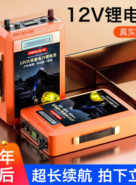 德力普12v锂电池电瓶大容充电器磷酸铁锂大功率24伏户外移动电源