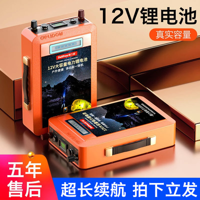 德力普12v锂电池电瓶大容量
