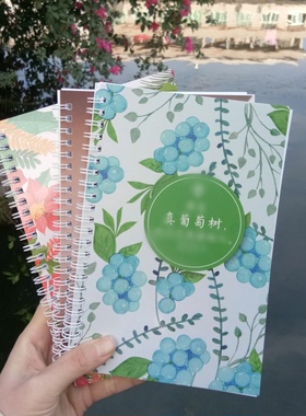 精美线圈本行在光明中