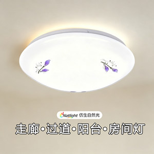 现代简约家用过道厨卫卧室灯