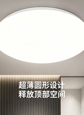 全白LED家用吸顶灯圆形卧室灯现代简约客厅灯阳台厨卫灯饰灯具