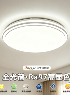 LED吸顶灯新款卧室灯简约现代大气客厅灯全光谱护眼中山灯具