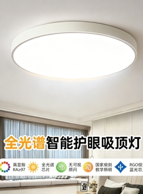 全光谱护眼卧室灯现代简约吸顶灯led网红2026年新款主卧房间灯具