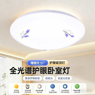 全白LED家用吸顶灯圆形卧室灯现代简约客厅灯阳台厨卫灯饰灯具
