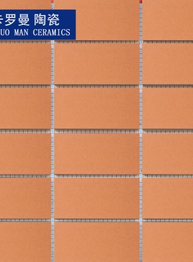 45×95mm橙色平滑面哑光釉面砖纸皮砖外墙瓷砖 阳台维修9.5公分
