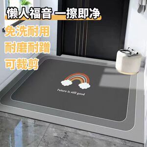 免洗地垫入户门垫pvc家用可擦防水防滑垫子大门口耐脏脚垫可裁剪