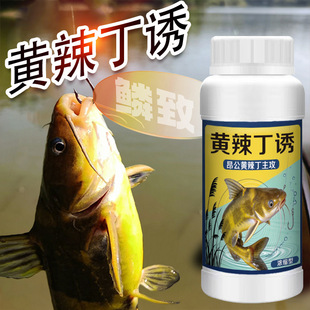 黄辣丁诱食剂钓鱼小药昂公汪刺黄骨鱼腥臭浓缩鱼饵料窝料垂钓聚诱