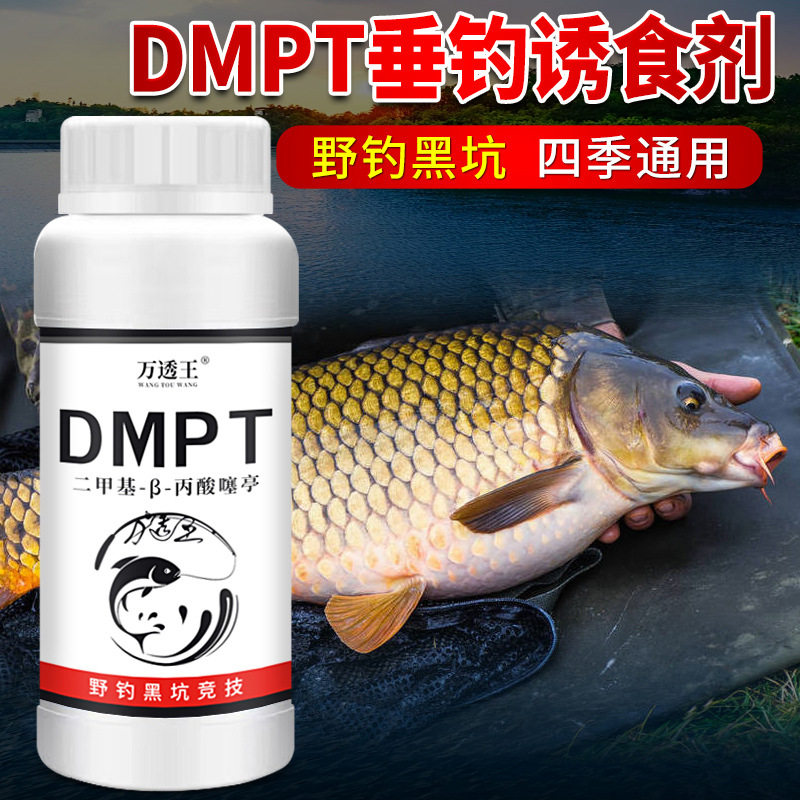DMPT开口剂钓鱼小药鲫鲤草鳊罗非淡水野钓饵食料诱鱼啃咬石聚添加