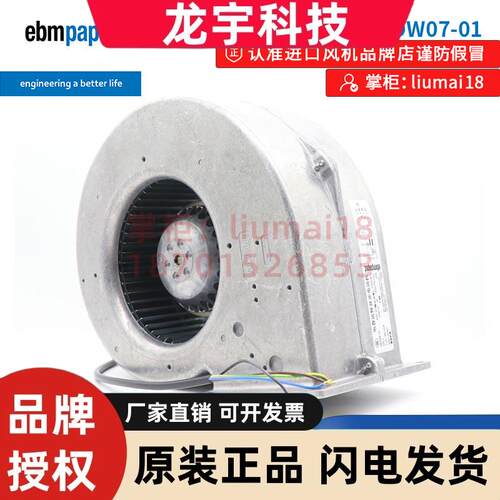 G2E146-DW07-01/10 ebmpapst 原装风机  230V 变桨电机散热风扇