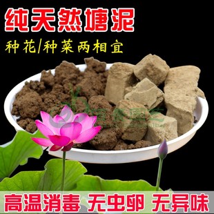 塘泥土种植土阳台种花种菜基质碗莲睡莲荷花有机肥土荷塘土营养泥