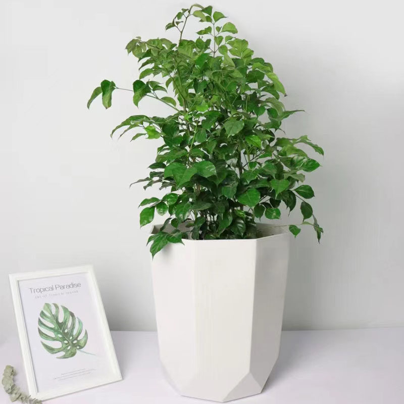 高档树脂花盆客厅办公室大绿植天堂鸟散尾葵龟背竹仿陶瓷简约塑料