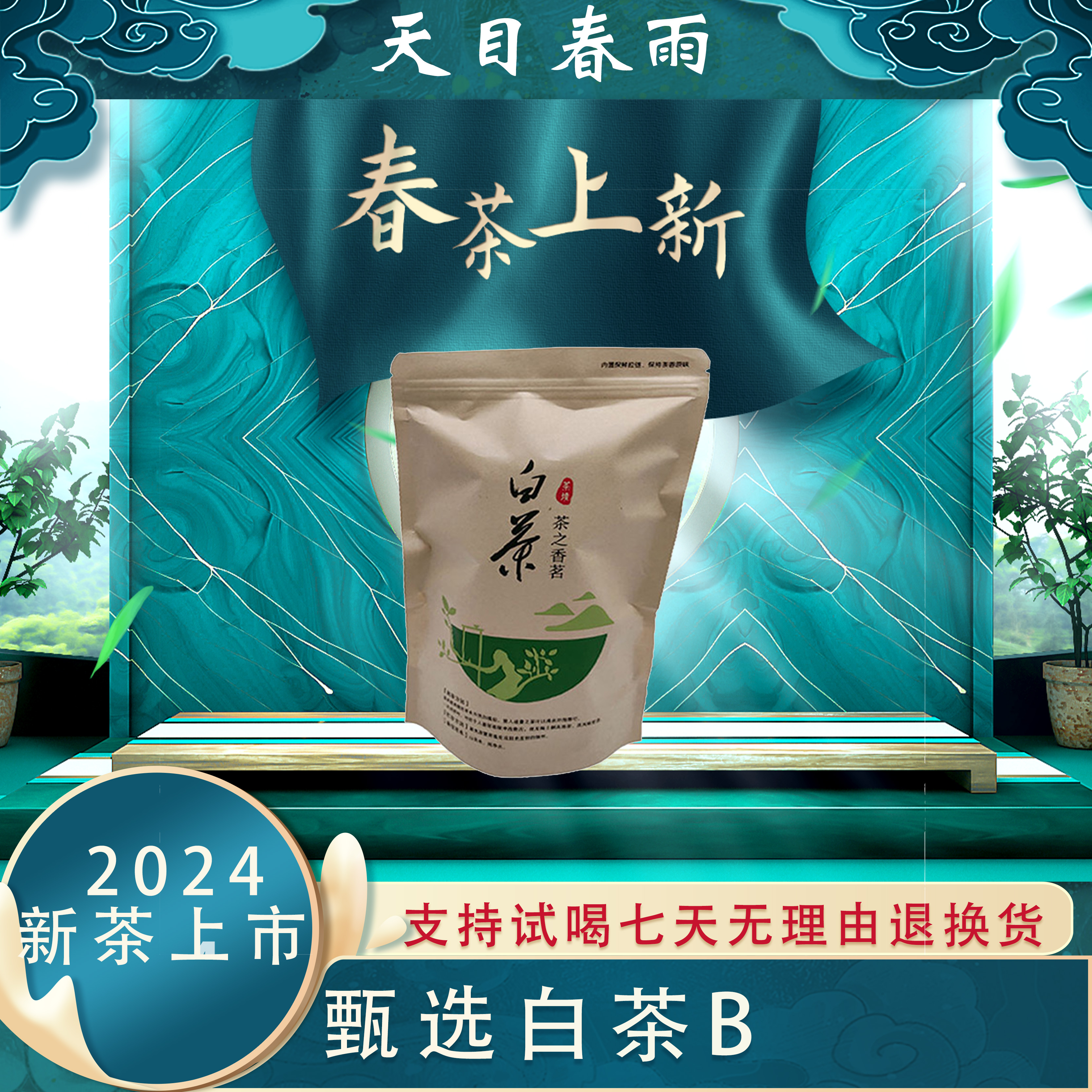 【甄选白茶B】2024年江苏溧阳天目湖白茶春茶浓香型好茶