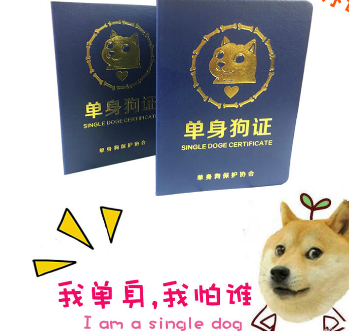 沙雕生日礼物奇葩精致走心个性创意惊喜实用礼品单身狗证搞笑证件