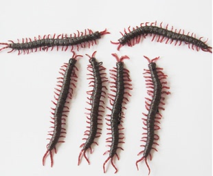 仿真蜈蚣 个性创意假蜈蚣 恐怖吓人软体动物蜈蚣 整人尖叫小玩具