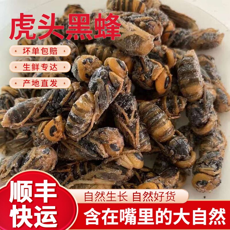 山东特产新鲜冷冻蜂蛹大黑蜂马蜂胡蜂蜂蛹昆虫食品蜂蛹大蜂蛹