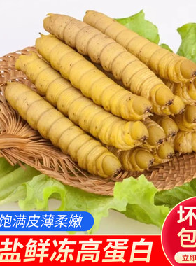山东豆虫2022新鲜冷冻高蛋白豆丹
