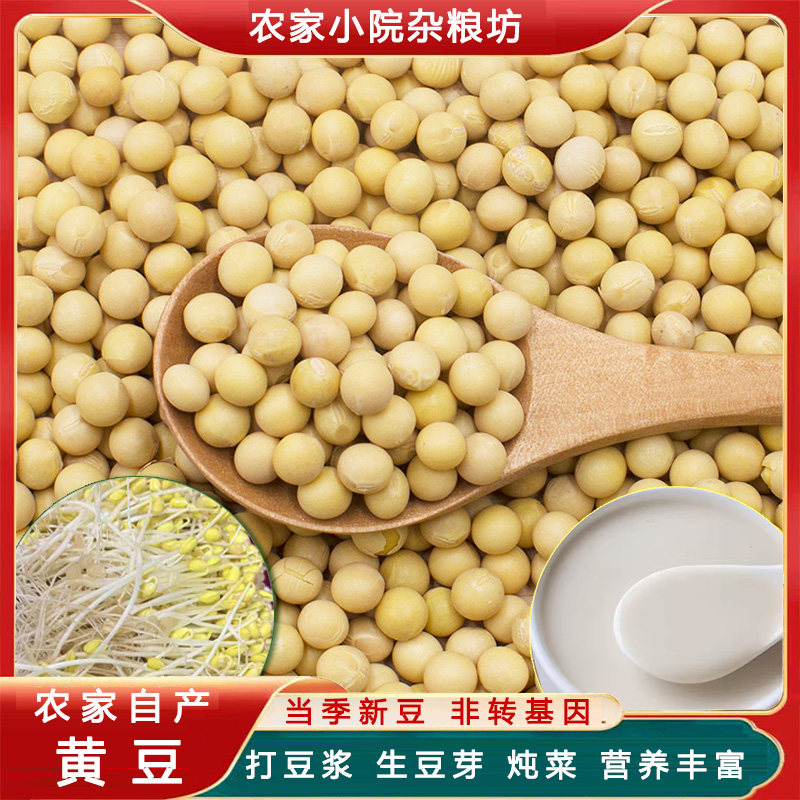 新货大豆黄豆打豆浆专用农家自种黄豆发豆芽煲汤五谷杂粮黄豆批发