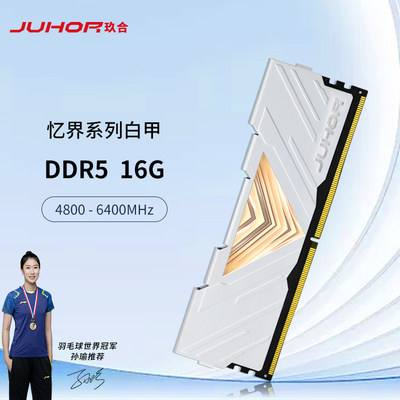 玖合4800内存条DDR5办公，游戏