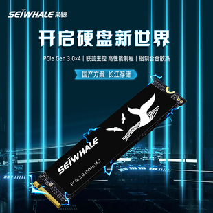 固态硬盘 SEIWHALE NVME M.2接口 枭鲸 PCIe3.0