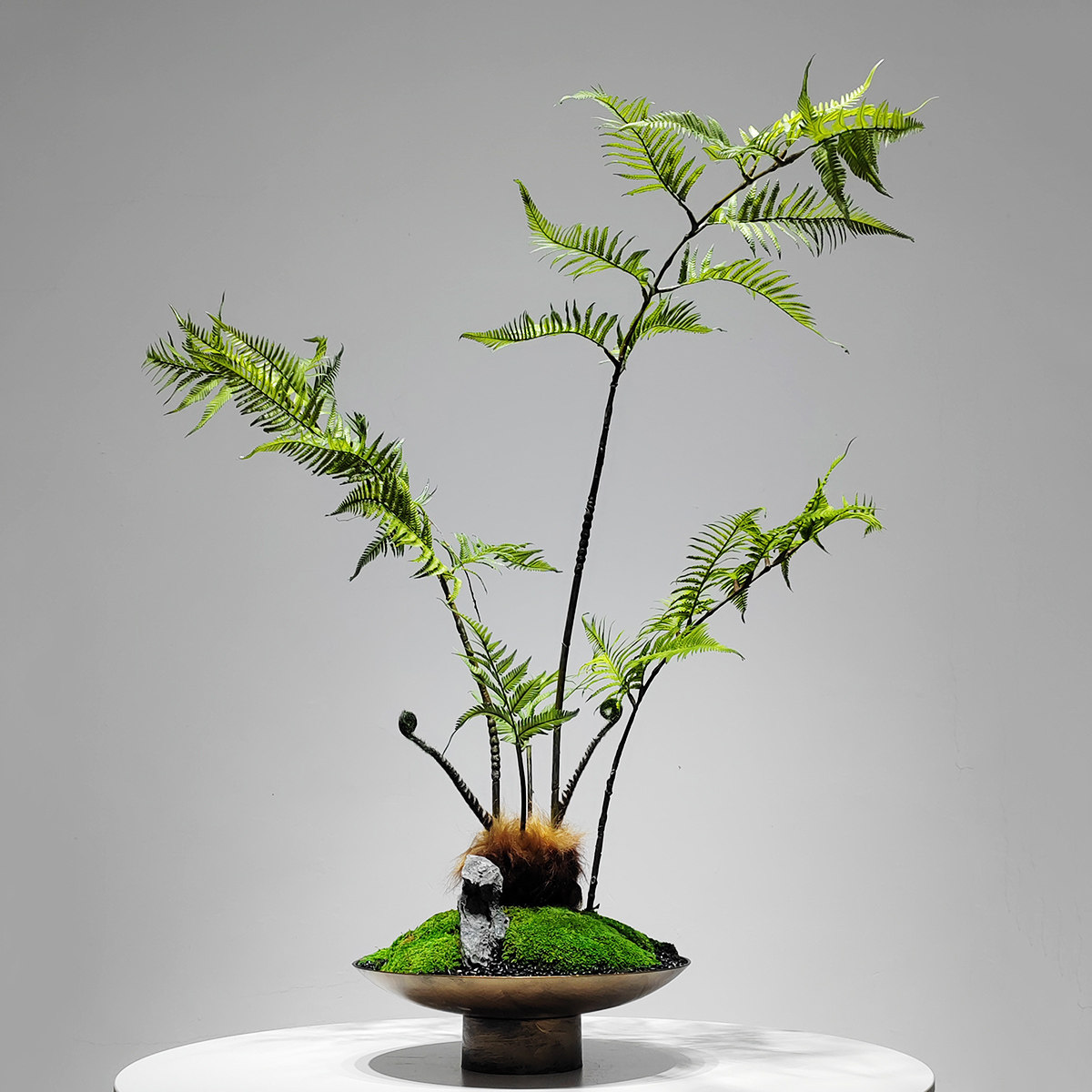 仿真花艺永生苔藓蕨类茶几禅意