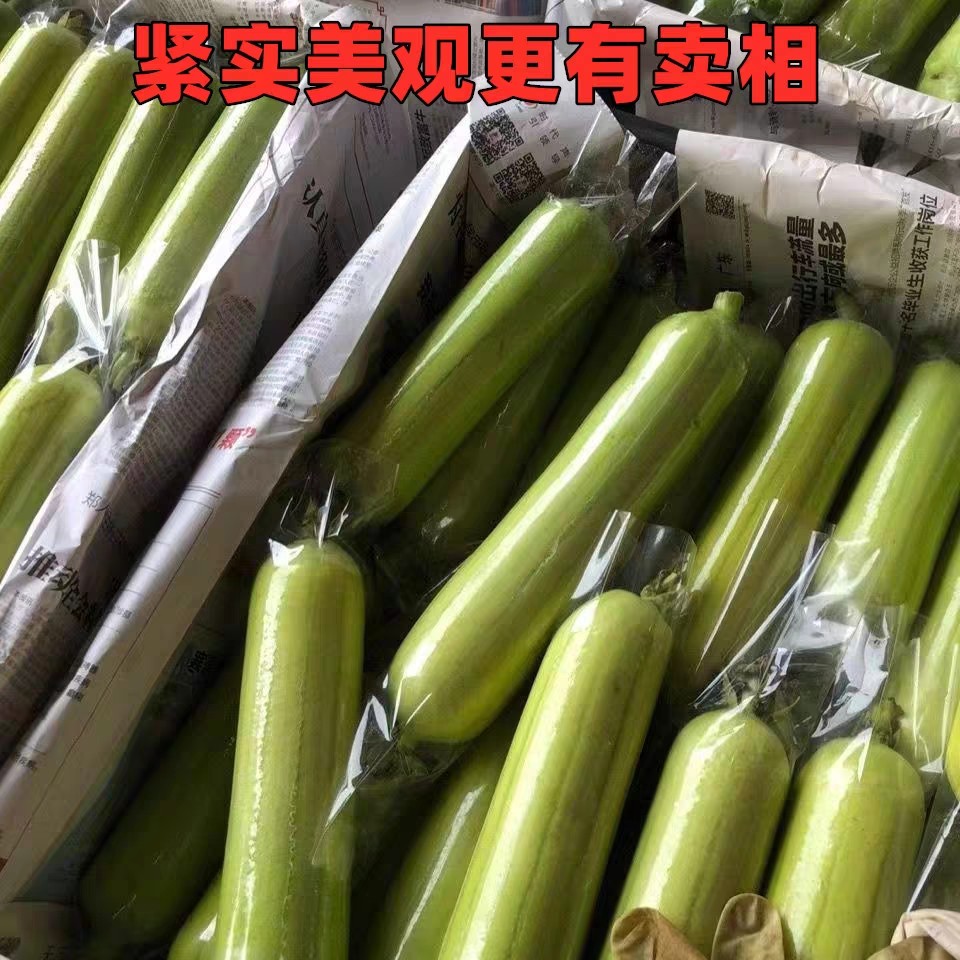 水瓜丝瓜套袋瓜类保护袋直通袋防虫果蔬加厚瓜类PP高透明包装袋