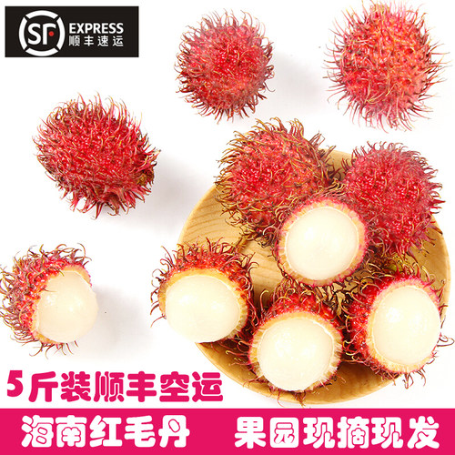 海南保亭红毛丹现摘新鲜水果应季