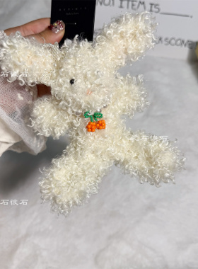 可爱高级泰迪卷设计师玩偶小挂件