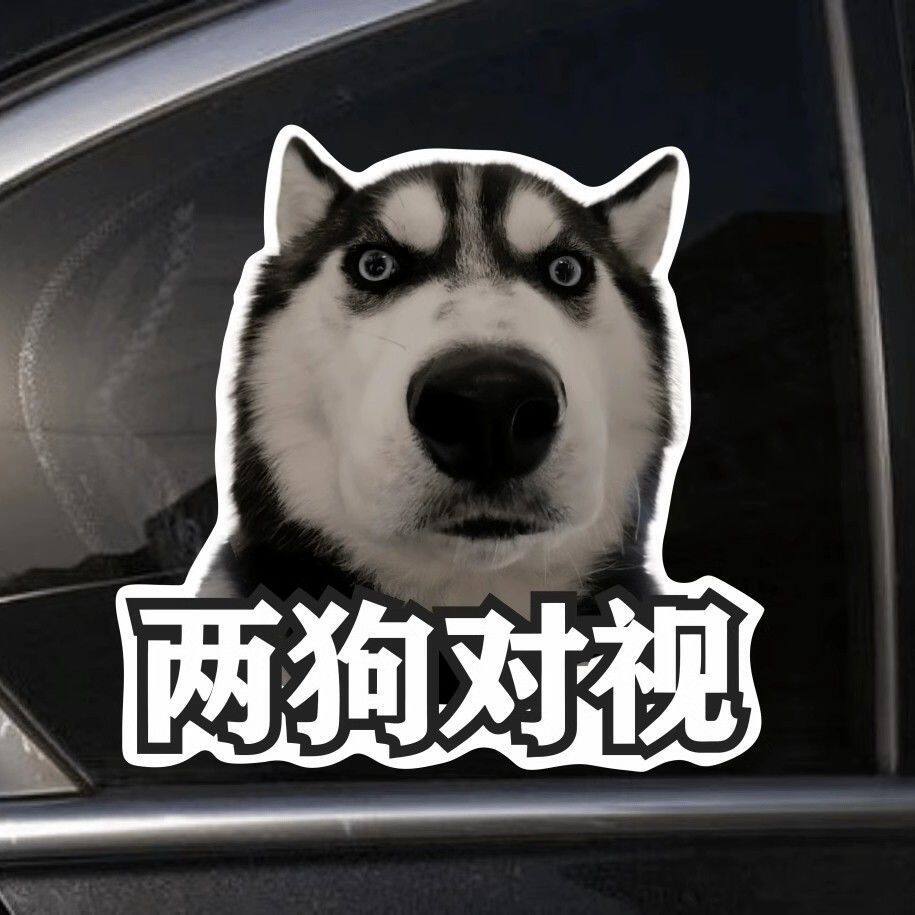 哈士奇表情两狗对视车贴搞笑表情包汽车贴纸后尾装饰个性防水贴画