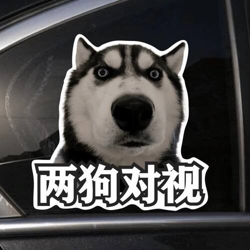 哈士奇表情两狗对视车贴搞笑表情包汽车贴纸后尾装饰个性防水贴画