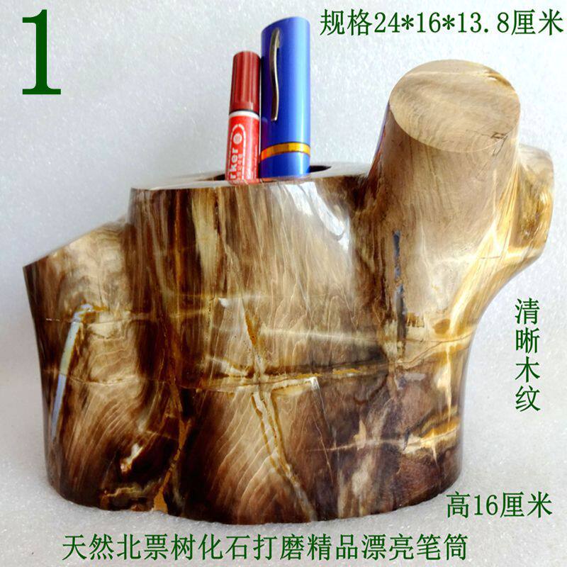 奇石观赏石模树石紫萁箭石菊石三叶虫树疤树叶树化石精品笔筒2509
