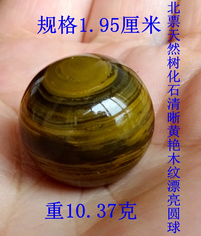树化石硅化木奇石多少钱 树化石硅化木奇石优惠券免费领取 有条鱼 树化石硅化木奇石多少钱 树化石硅化木奇石优惠券免费领取 有条鱼