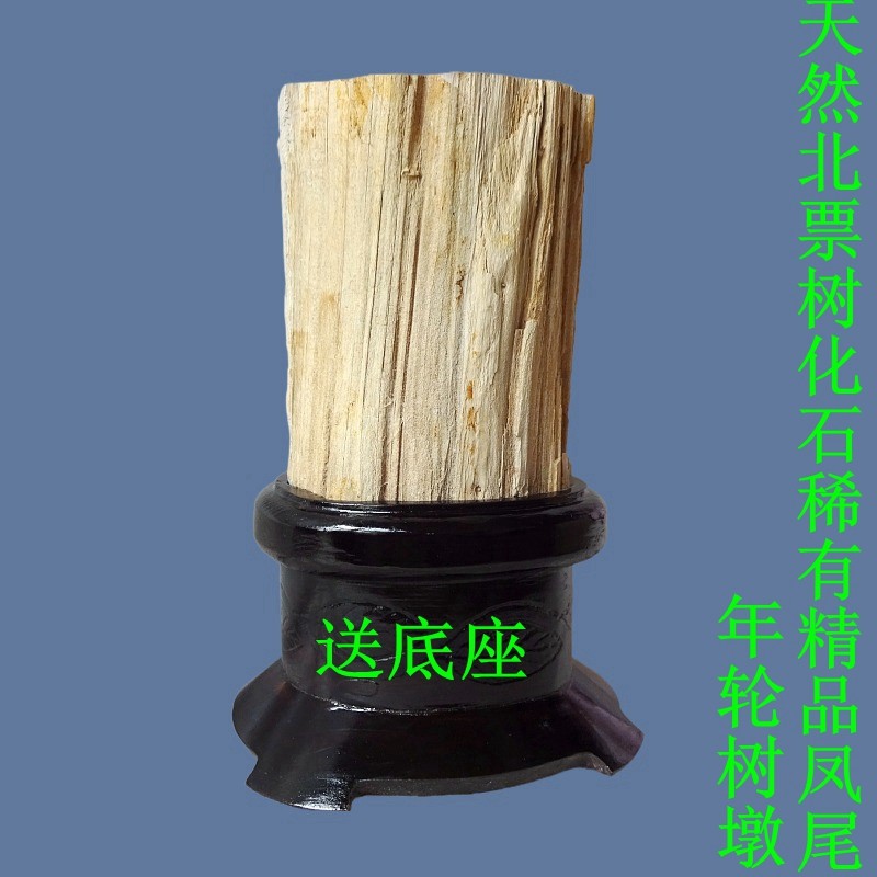 天然菊石燕子石硅化木树化玉树化石稀有黑白花精品树墩摆件2912
