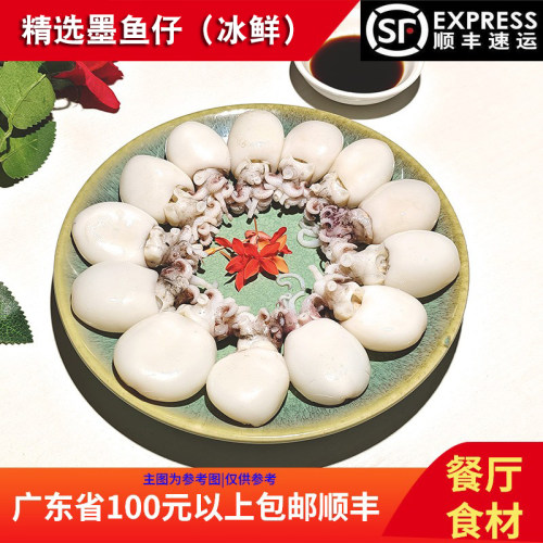 铁板墨鱼仔冷冻墨鱼白灼墨鱼仔