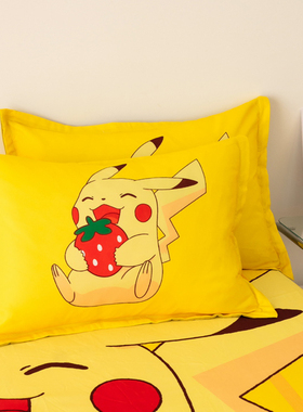 皮卡丘枕套儿童男孩女孩卡通可爱幼儿园小枕头套枕皮30*50cm40*60