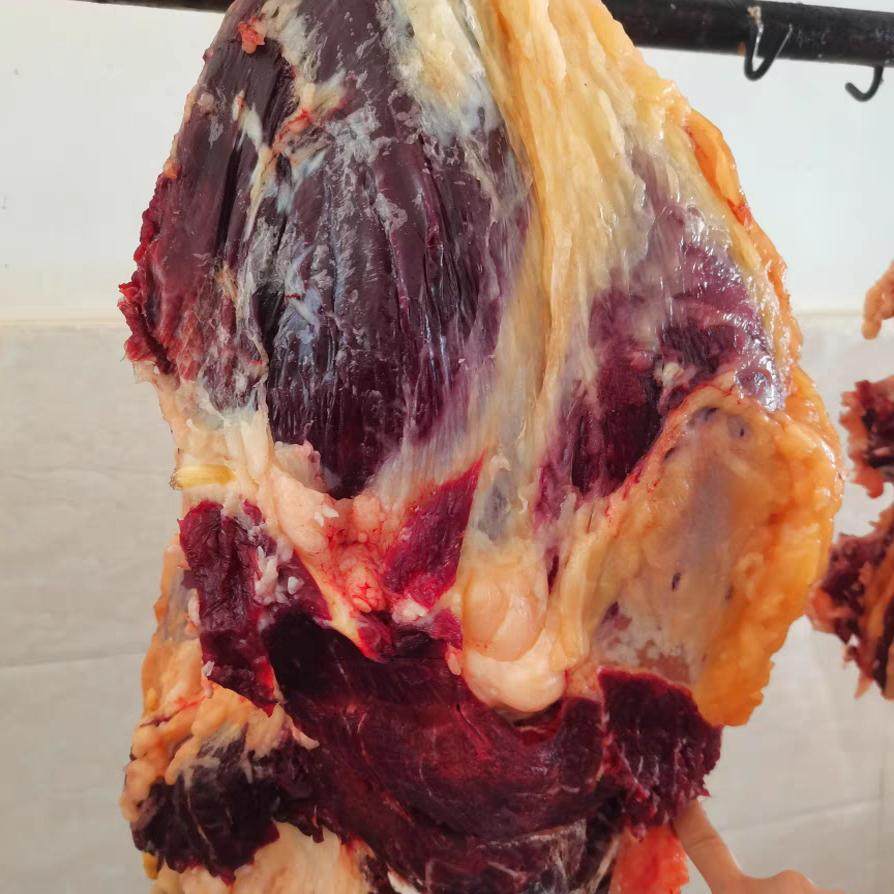 顺丰 云南宣威黄牛肉农家散养新鲜生牛肉牛腩腿牛排肉