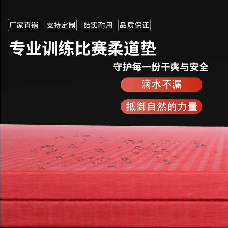 21定制柔道垫摔跤训练榻榻米垫体操垫柔道比赛垫子地加厚绵压缩