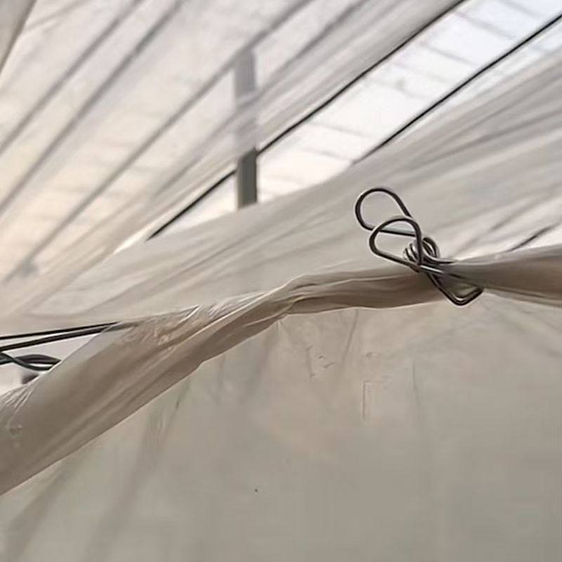 不锈钢二膜夹子大棚不绣钢温室大棚内二模塑料薄固定朋鹏农用专线,农机/农具/农膜,绑枝机/绑蔓机,淘宝优惠券,粉丝福利购,淘宝优惠卷