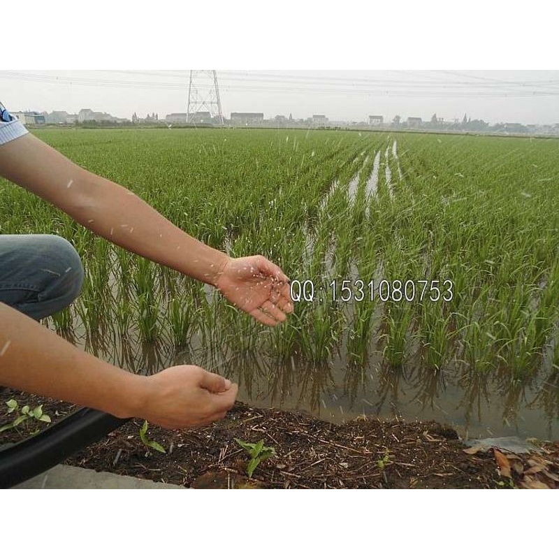 二冲程农用汽油机背负式机动施肥机撒化肥机播种/比电动施肥器牛