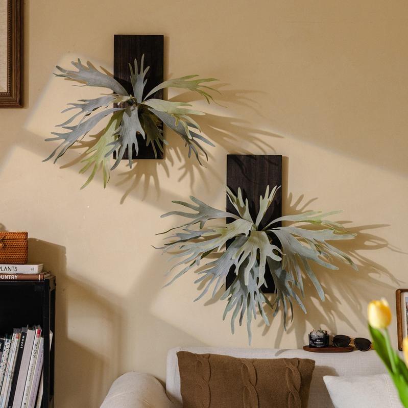 掬涵仿真鹿角蕨垂吊壁挂绿植室内墙饰客厅餐厅卧室工作室空间摆设