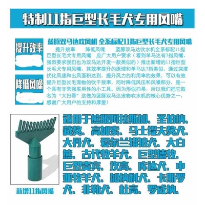 蓝豚宠物大型犬大功率金毛宠物专用加热型双马达吹水机1090D-H