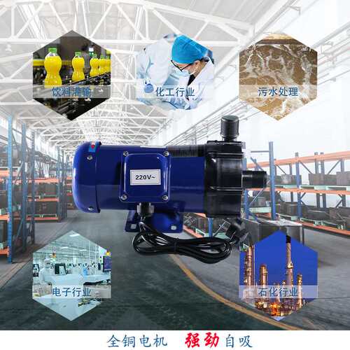 DATTO大头马工程塑料磁力泵增氧机鱼塘电动抽油泵380v无堵塞排污