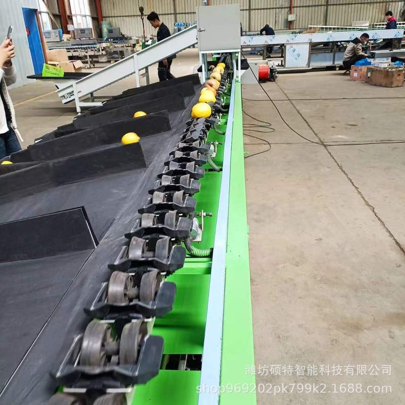 火龙果选果机水果重量分拣机柠檬绞肉机分级机百香果全自动